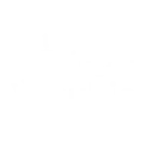 logo-4 (1)