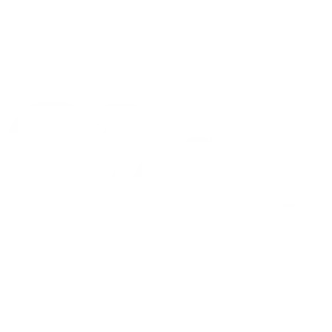 logo-4 (3)